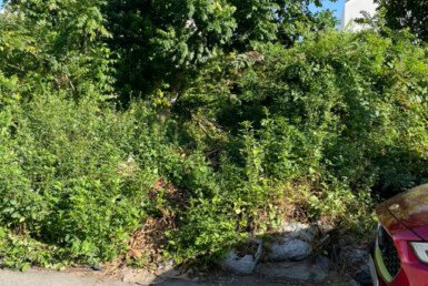 hinh-anh-mua-ban-dat-nen-kdc-tran-thai-nha-be-t2-2025