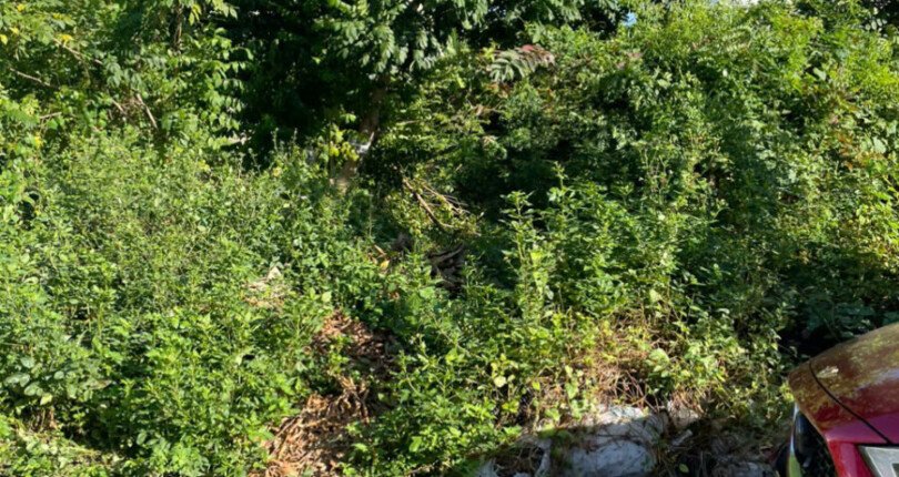 hinh anh mua ban dat nen kdc tran thai nha be t2 2025 810x430 - Bảng giá mua bán đất nền xây nhà Biệt thự kdc Trần Thái Nhà Bè T2/2025