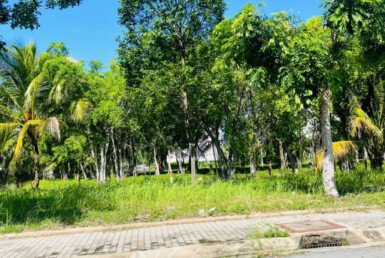 hinh-anh-mua-ban-dat-nen-phu-xuan-nha-be-t2-2025