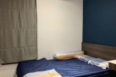 phong-ngu-can-ho-cho-thue