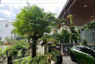 san-vuon-truoc-nha-biet-thu-ban