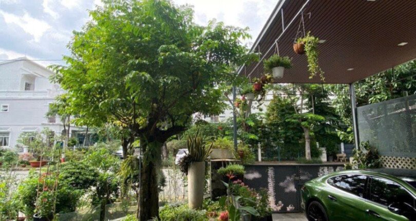 san vuon truoc nha biet thu ban 810x430 - Giá mua bán nhà Biệt thự nguyên căn góc Đường số 22 KDC Mỹ Thái 1A Quận 7 T2/2025