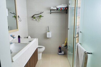 toilet-hoan-thien-thiet-bi