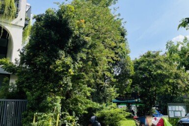 vi-tri-nha-ban-lien-ke-cong-vien