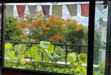 z6282150576698_7a13b32d1ecc3caa4405974a9c36ccda