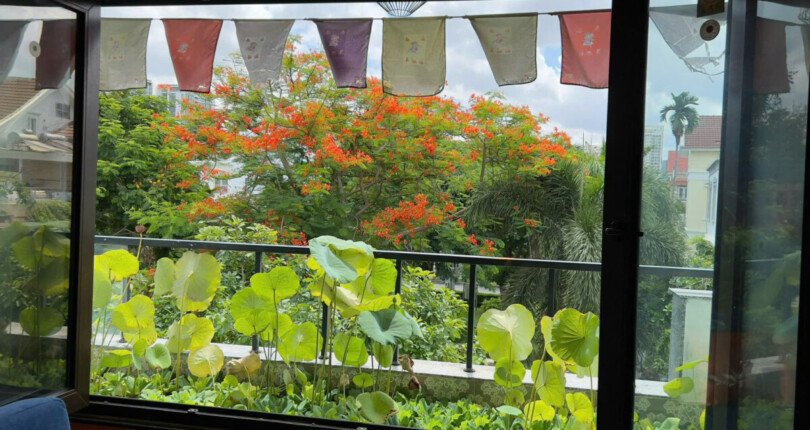 z6282150576698 7a13b32d1ecc3caa4405974a9c36ccda 810x430 - Bán Biệt Thự Nam Thông 1B nhà 3 tầng 198m giá 57 tỷ