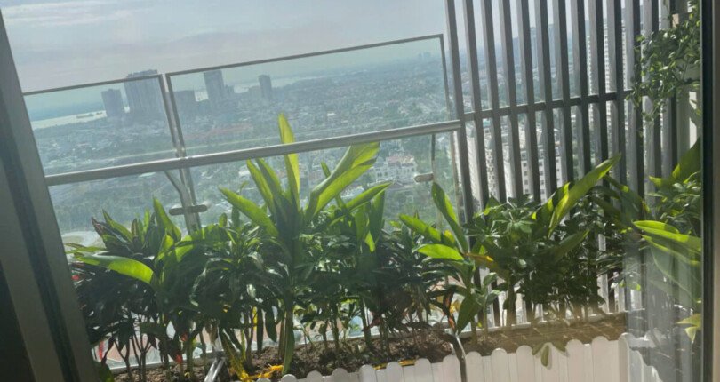 z6303599875061 d6b2c40b3b91eb8861401b0c49d8adb6 810x430 - Cho thuê Midtown M8 Block I Tầng 22 dt 82m 2 phòng full đồ giá 1400usd