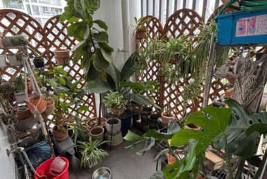 z6316903379357_bb3055139467e73a9dfa2990d6cd941b