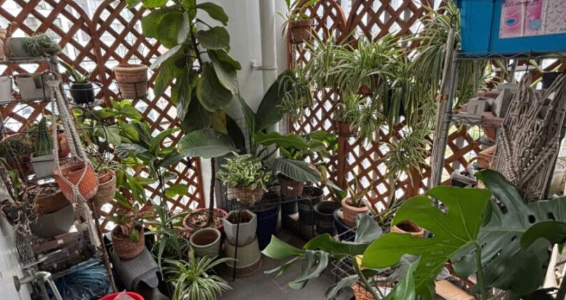 z6316903379357 bb3055139467e73a9dfa2990d6cd941b 810x430 - Bán căn hộ Green Valley Block C Tầng 15 dt 120m 3 phòng giá 8,8 tỷ