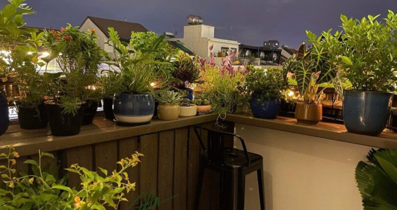 z6334818573128 36482b6f02a95c482ea41b9bfcb7ffd0 810x430 - Bán Mỹ Phúc Block A Tầng 5 dt 106m 3 phòng giá 8,4 tỷ