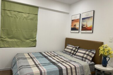 ban-can-ho-saigon-south-residences (17)