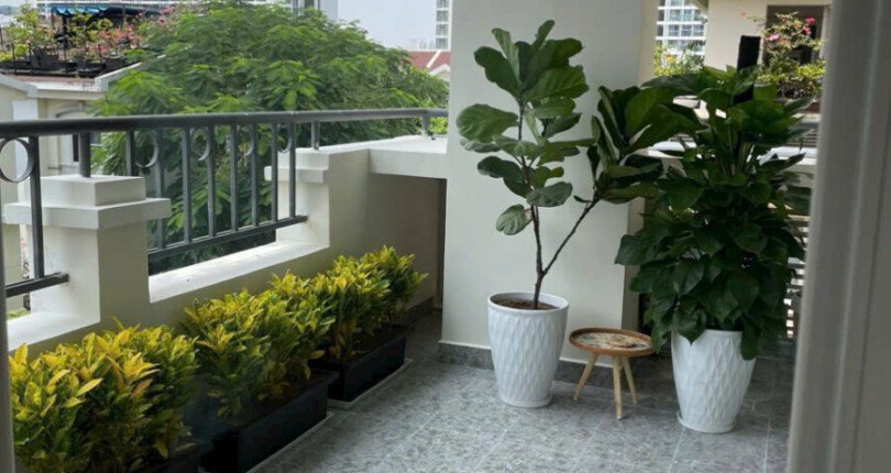 ban cong can ho rong rai 810x430 - Giá mua bán căn hộ 3 phòng ngủ chung cư Cảnh Viên 3 Quận 7 T3/2025