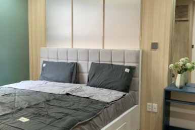 cho-thue-can-ho-saigon south  (2)