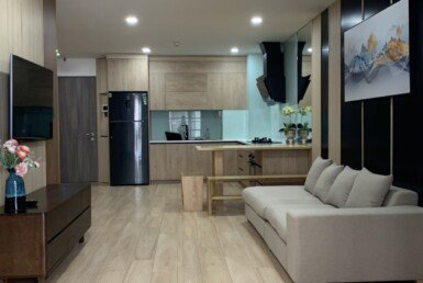 cho-thue-can-ho-saigon south  (9)