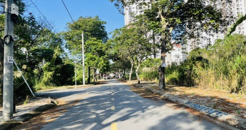 duong noi khu kdc 2 810x430 - Giá mua bán đất nền Biệt thự Lô C khu dân cư Tân An Huy Nhà Bè T3/2025