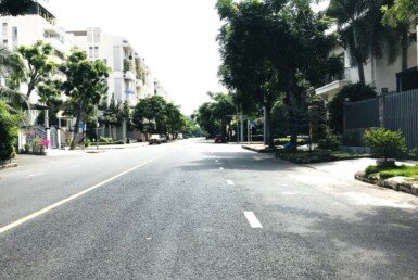 hinh-anh-duong-ly-long-tuong-quan-7