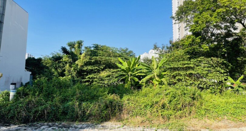 hinh anh mua ban dat nen kdc 810x430 - Giá mua bán đất nền Biệt thự Lô C khu dân cư Tân An Huy Nhà Bè T3/2025