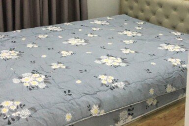 phong-ngu-can-ho-cho-thue