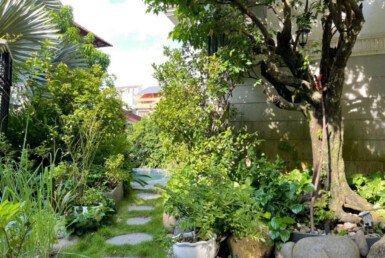 san-vuon-ben-hong-biet-thu-ban