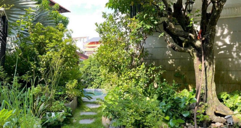 san vuon ben hong biet thu ban 810x430 - Giá mua bán nhà Biệt thự đơn lập có hồ bơi khu Nam Thiên Quận 7 T3/2025