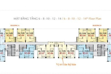tang-6-8-10-12-14-scaled