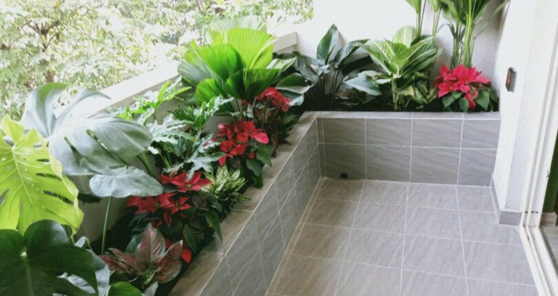 ban cong nha biet thu ban 810x430 - Giá mua bán nhà nguyên căn Khu Biệt thự Phú Gia Quận 7 T4/2025