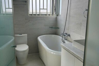 cho-thue-can-ho-penthouse-star hill (2)