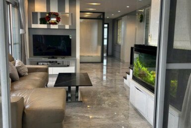 cho-thue-can-ho-penthouse-star hill (21)