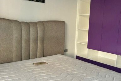 cho-thue-can-ho-penthouse-star hill (3)