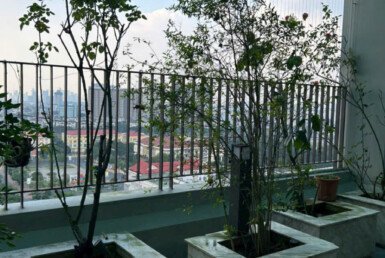 cho-thue-can-ho-penthouse-star hill (5)