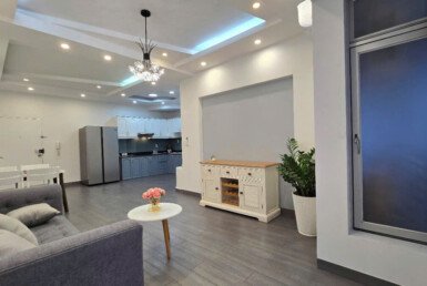 cho-thue-can-ho-sky-garden-2 (3)