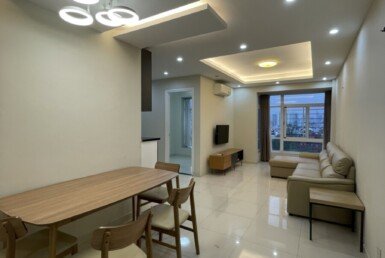 cho-thue-can-ho-sky-garden-3 (10)
