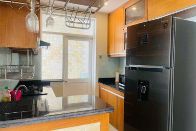 cho-thue-can-ho-sky-garden-3 (4)