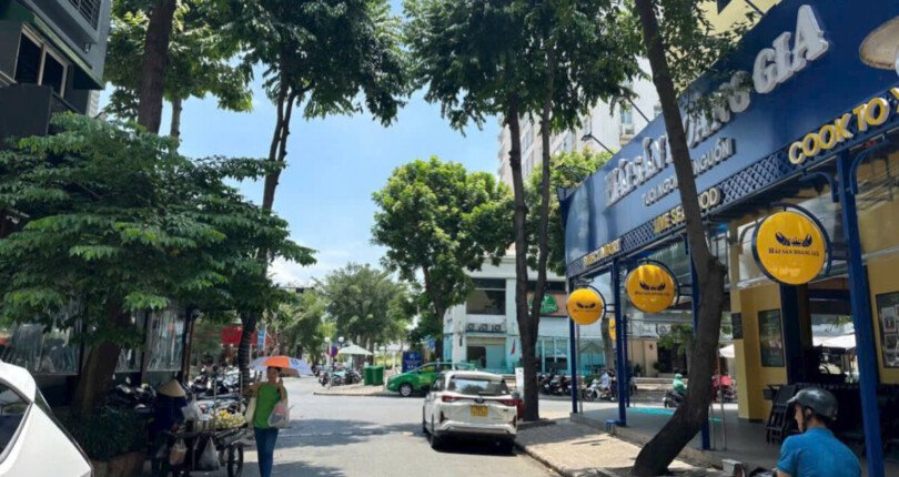 duong noi khu hung gia hung phuoc lo gioi 10m 810x430 - Giá mua bán đất nền Nội khu Hưng Gia Phú Mỹ Hưng Quận 7 T5/2025