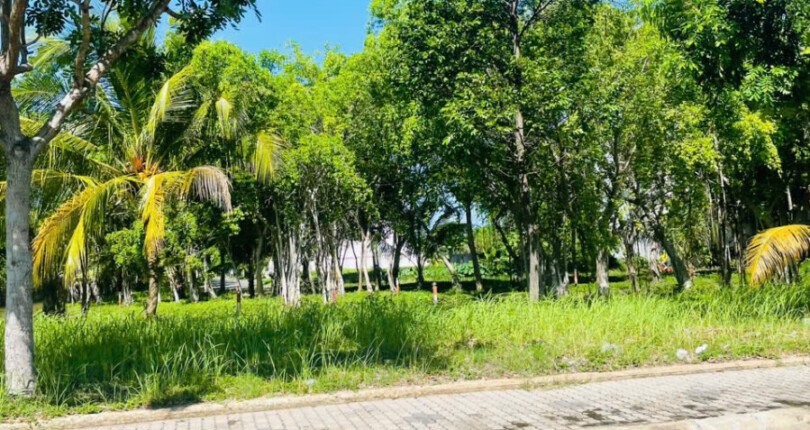hinh anh mua ban dat nen nha pho kdc phu xuan vph nha be t5 2025 810x430 - Giá mua bán đất nền dãy A3 Kdc Phú Xuân Vạn Phát Hưng Nhà Bè t5/2025