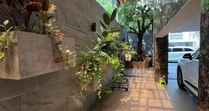 san vuon ben hong 810x430 - Giá mua bán nhà Biệt thự nguyên căn A69 Đường số 23 Nam Thông 3 Quận 7 T4/2025