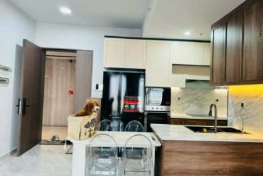 z6490536427541_9ac6d73c0da0ec0aca92ea6dd4a23984