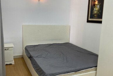 cho-thue-can-ho-sky-garden-2 (3)