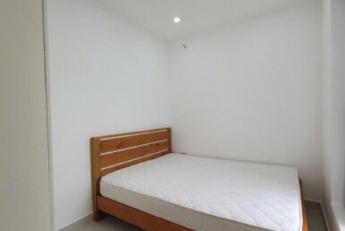 cho-thue-can-ho-sky-garden-3 (2)