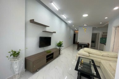 cho-thue-can-ho-sky-garden-3 (29)