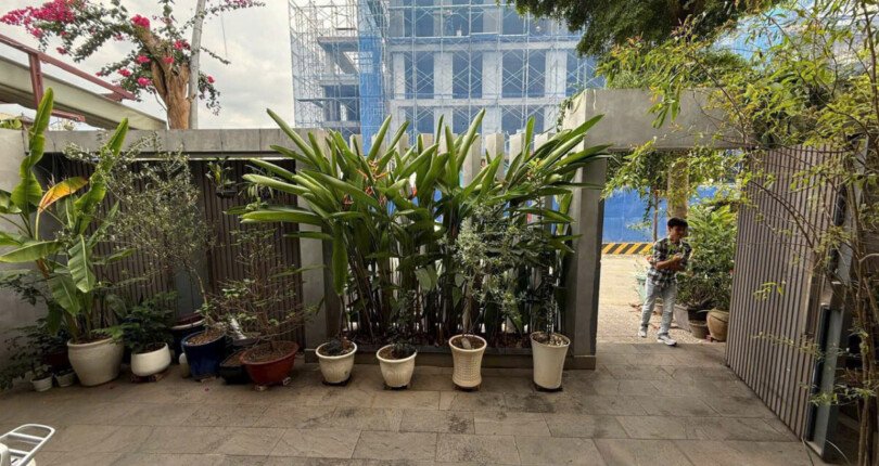 san vuon truoc nha biet thu ban 810x430 - Giá mua bán nhà Biệt thự nguyên căn kdc Jamona City Quận 7 T5/2025