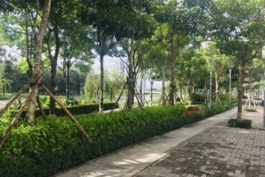 shop-lien-ke-cong-vien-hoa-anh-dao