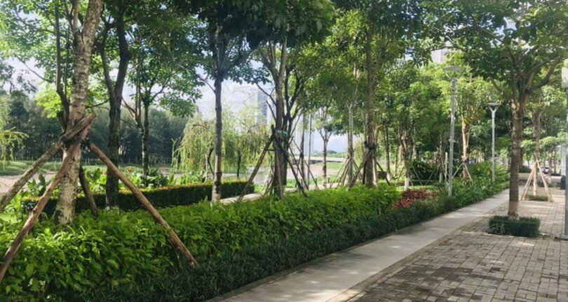 shop lien ke cong vien hoa anh dao 810x430 - Giá mua bán Shophouse Đường số 15 kdc Midtown Quận 7 T5/2025