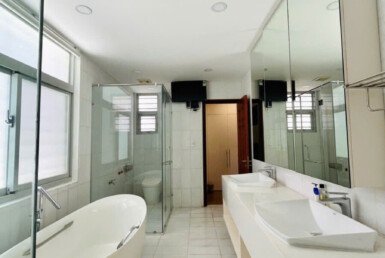 toilet-co-bon-tam-nam-sang-trong