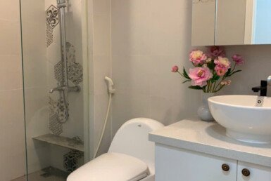 toilet-sang-trong-day-du-thiet-bi