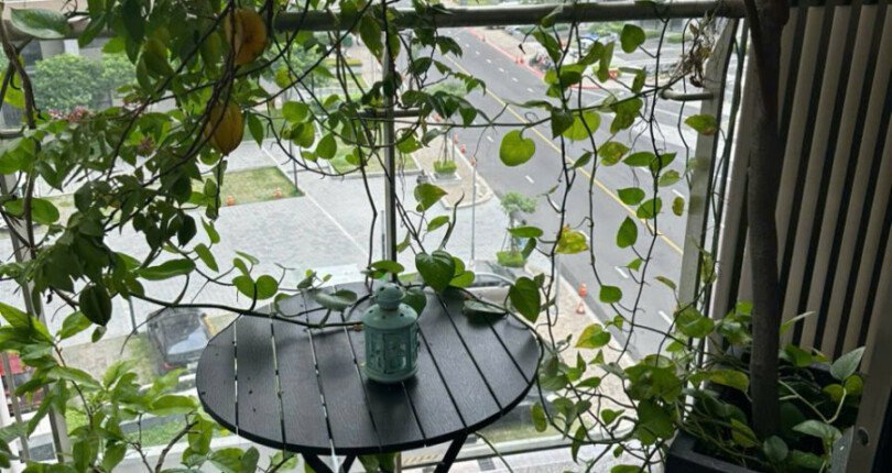 ban shophouse tai midtown 1 810x430 - Bán nhanh căn Shop house Midtown Tòa M6. Tổng diện tích 62m2 Shop đẹp đang cho thuê 16 Triệu. Giá rẻ 5.7 Tỷ