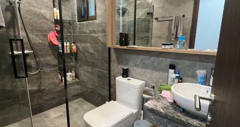 can ho ban co 2 toilet hoan thien nhu hinh 1 810x430 - Duy nhất căn góc 08 tháp A cần bán tại The Peak m8a giá 11,8 tỷ