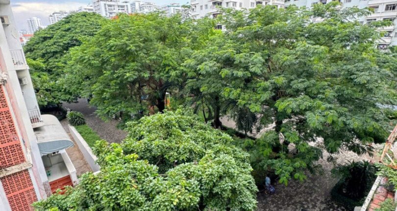 cho thue can ho hung vuong 1 15 810x430 - Cho thuê căn hộ Hưng Vượng 1. DT 69m2 Thiết kế trệt+ lửng- 2 phòng ngủ-1wc- Nội thất như hình- Giá 13 Triệu/Tháng