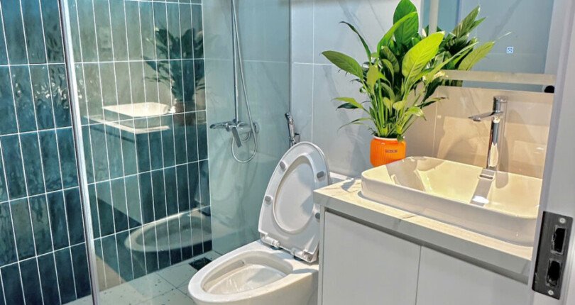 cho thue can ho sky garden 3 3 7 810x430 - Cho thuê căn góc Sky Garden 3. DT 72m2 Nhà rất đẹp- thiết kế 3 Phòng-2wc- Nội thất đầy đủ- Giá 29 Triệu/Tháng