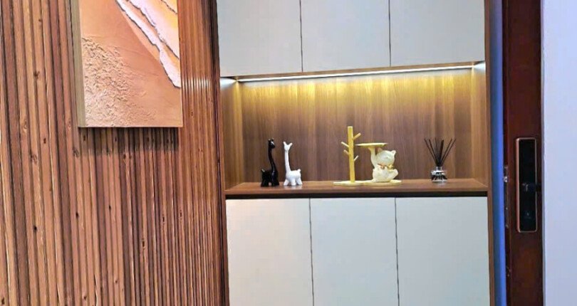 tu giay rong rai 810x430 - Giá mua bán căn hộ 3pn tháp 1D chung cư Sky Garden 1 Quận 7 T6/2025
